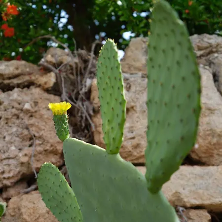 Casa de Campo Relais La Giara