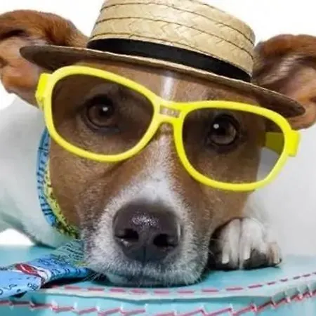 吉亚拉中继酒店 曼杜里亚